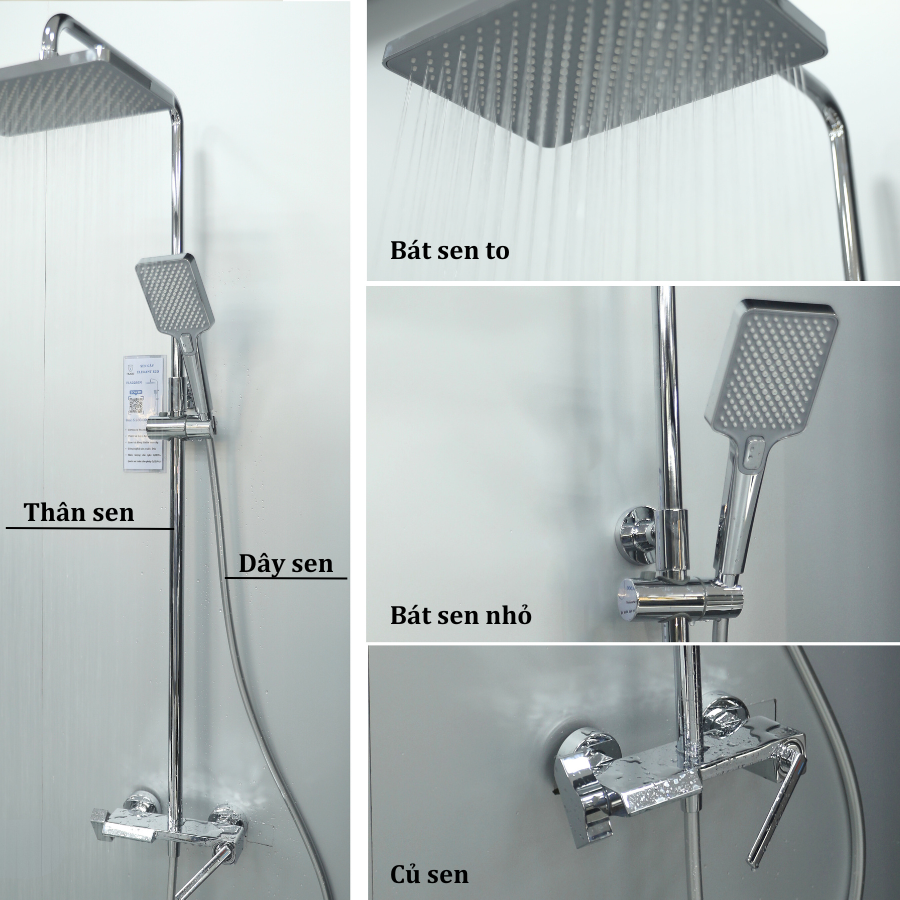 Cấu tạo của sen tắm Cấu tạo của sen tắm