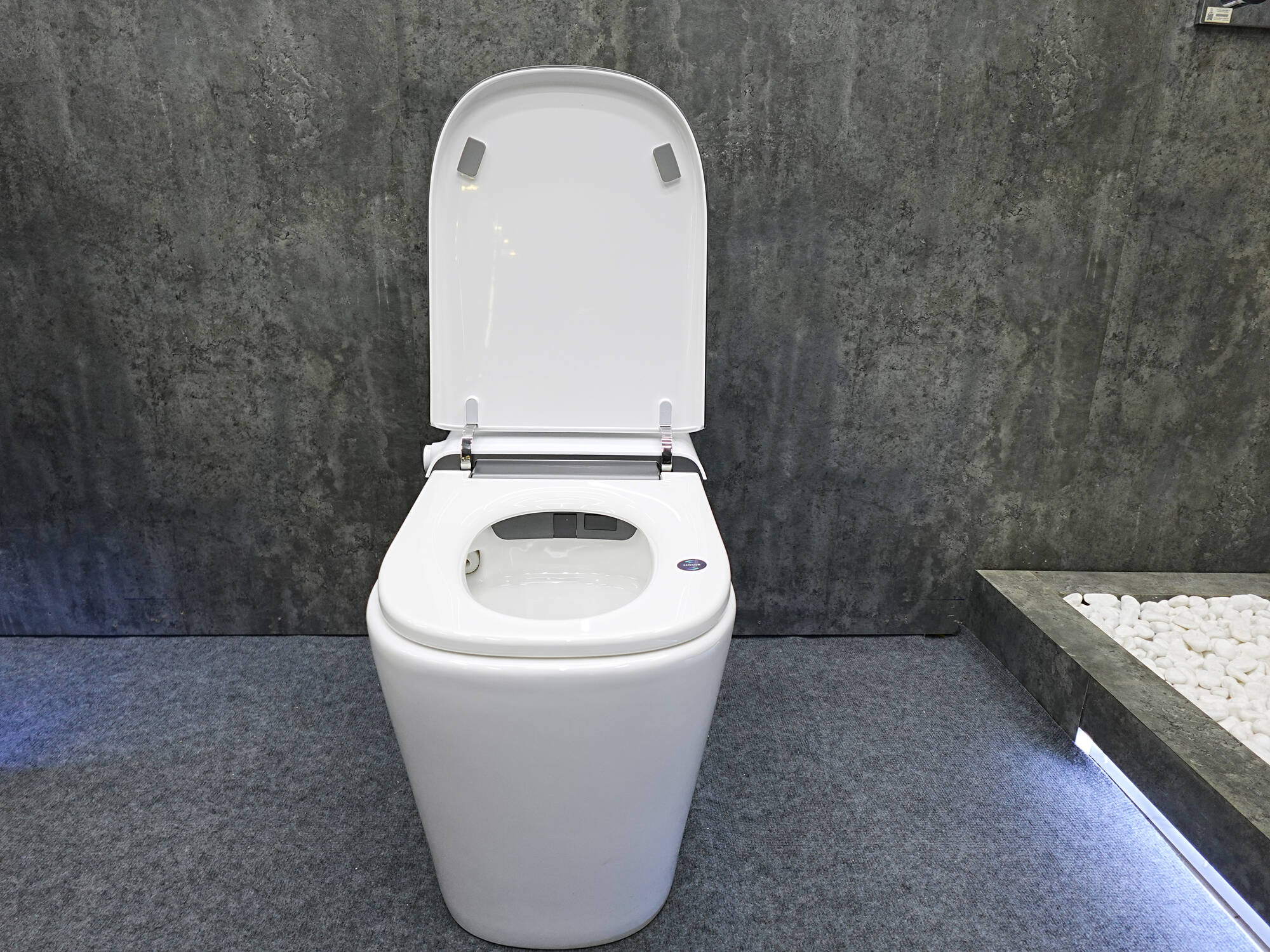 Ưu và nhược điểm của bồn cầu thông minh đặt sàn