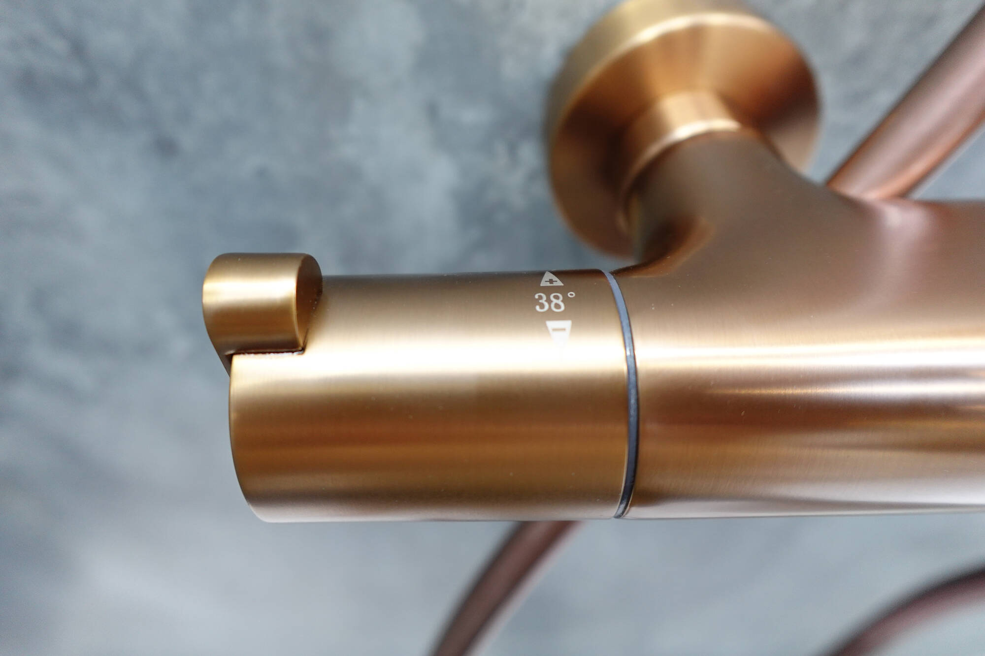 Sen cây nhiệt độ