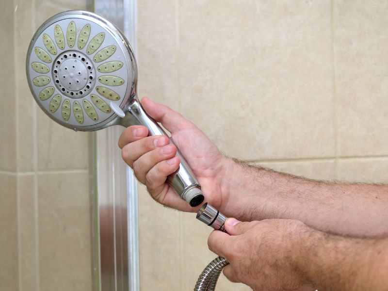 Lắp bát sen và tay sen của Sen cây nhiệt độ